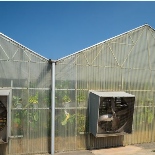 Greenhouses & Agricultural Buildings