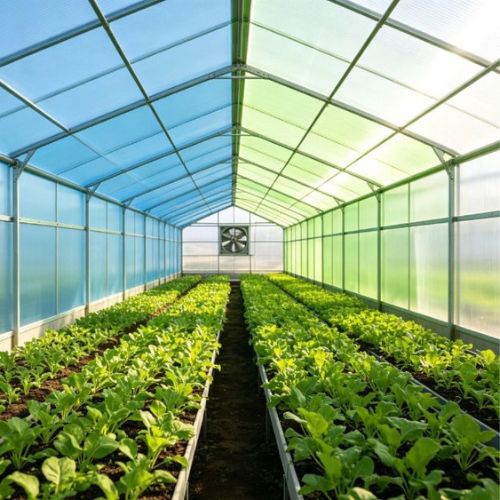 Greenhouses & Agriculture