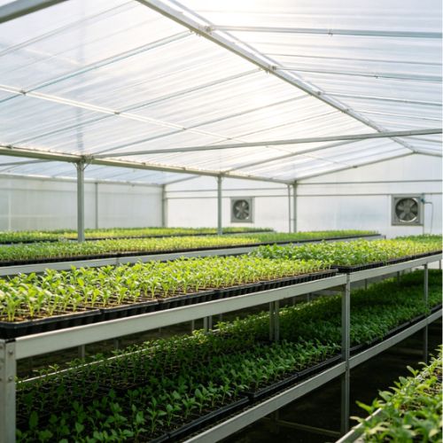 PC Covers for Seedling Propagation Nurseries